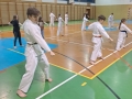 411307911_1030251088167501_664464573735137490_n