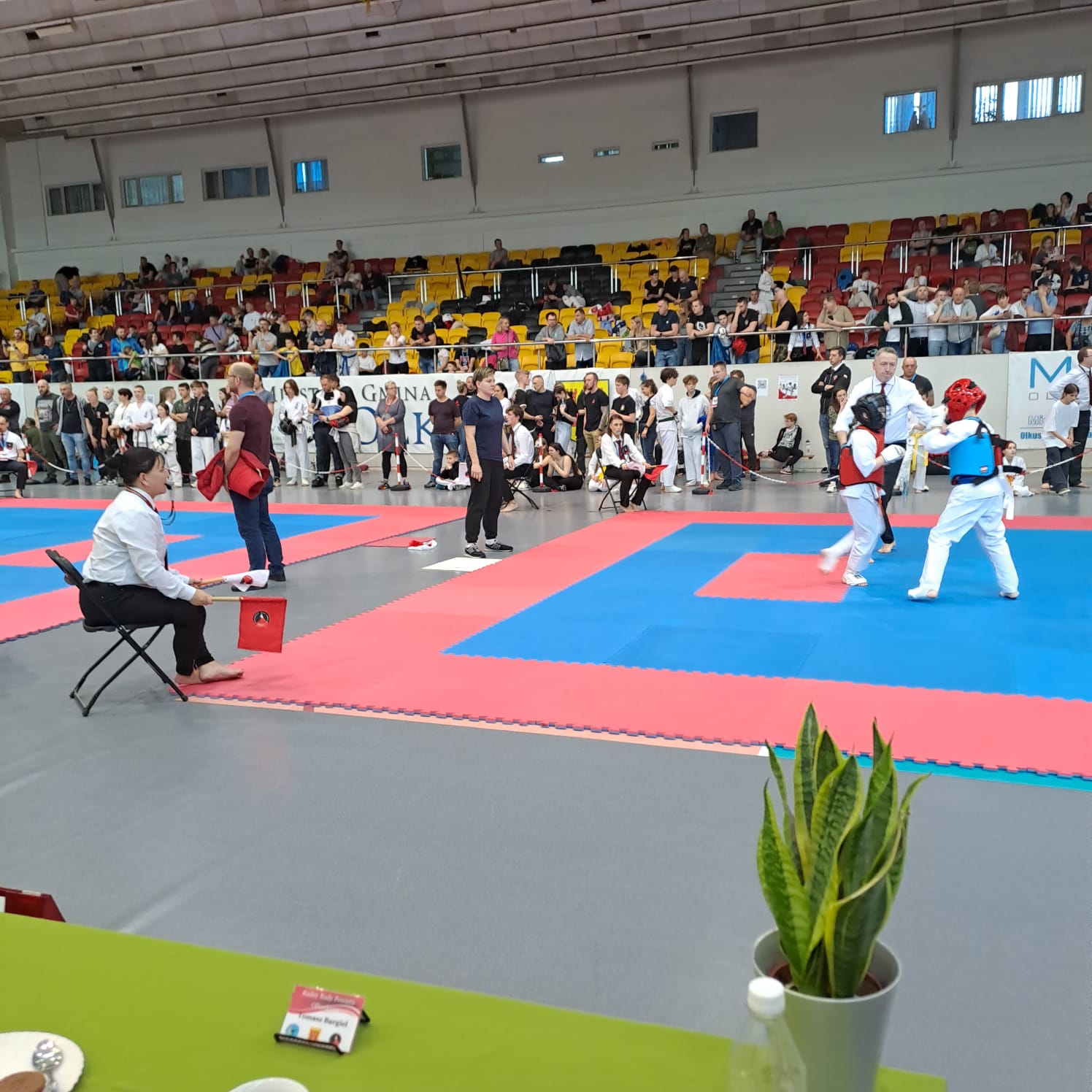 IMG-20240407-WA0029