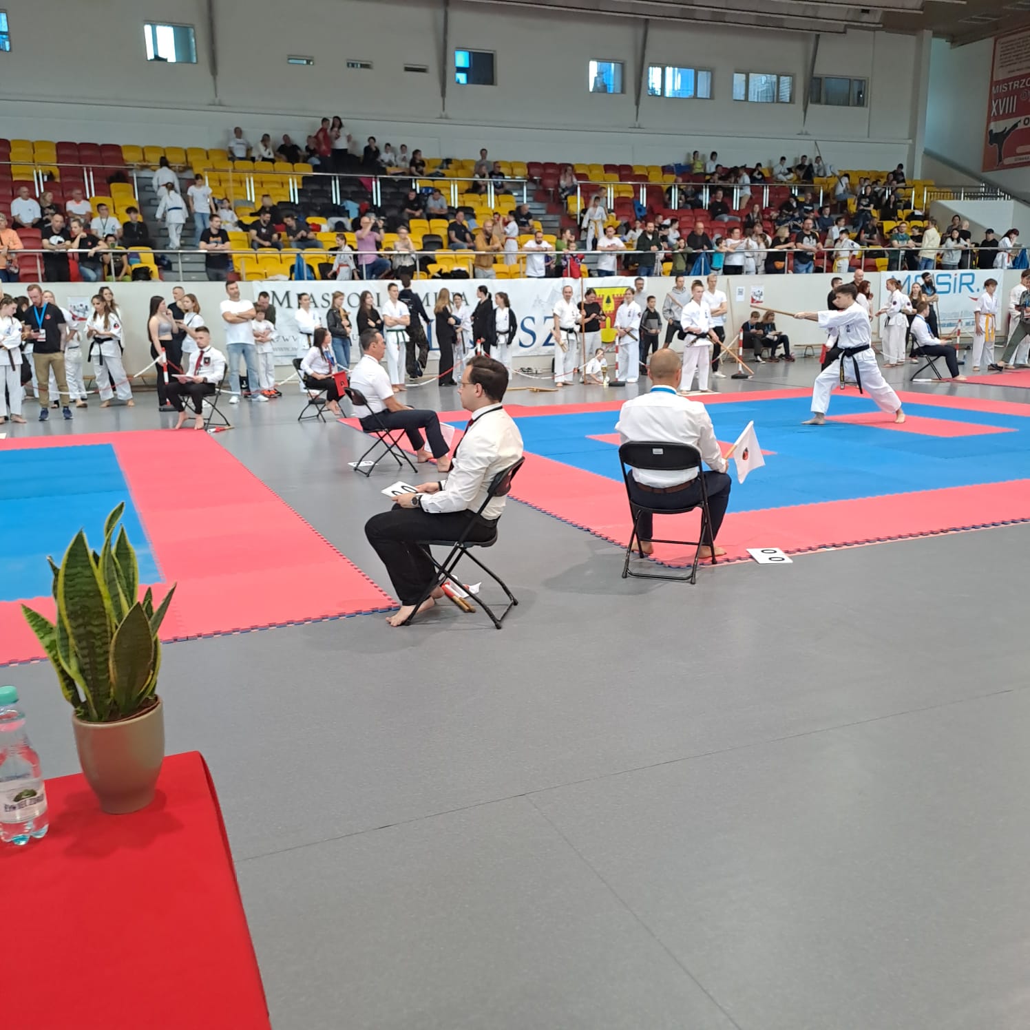 IMG-20240407-WA0089