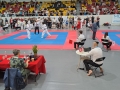IMG-20240407-WA0019