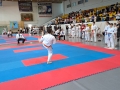 IMG-20240407-WA0062
