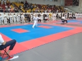 IMG-20240407-WA0087
